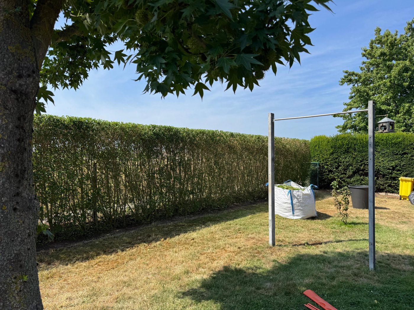 Frisch geschnittene Ligusterhecke mit sauberer Kante
